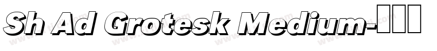 Sh Ad Grotesk Medium字体转换